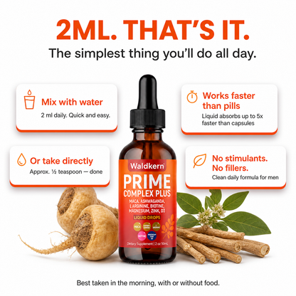 Prime Complex Plus