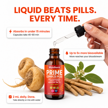 Prime Complex Plus