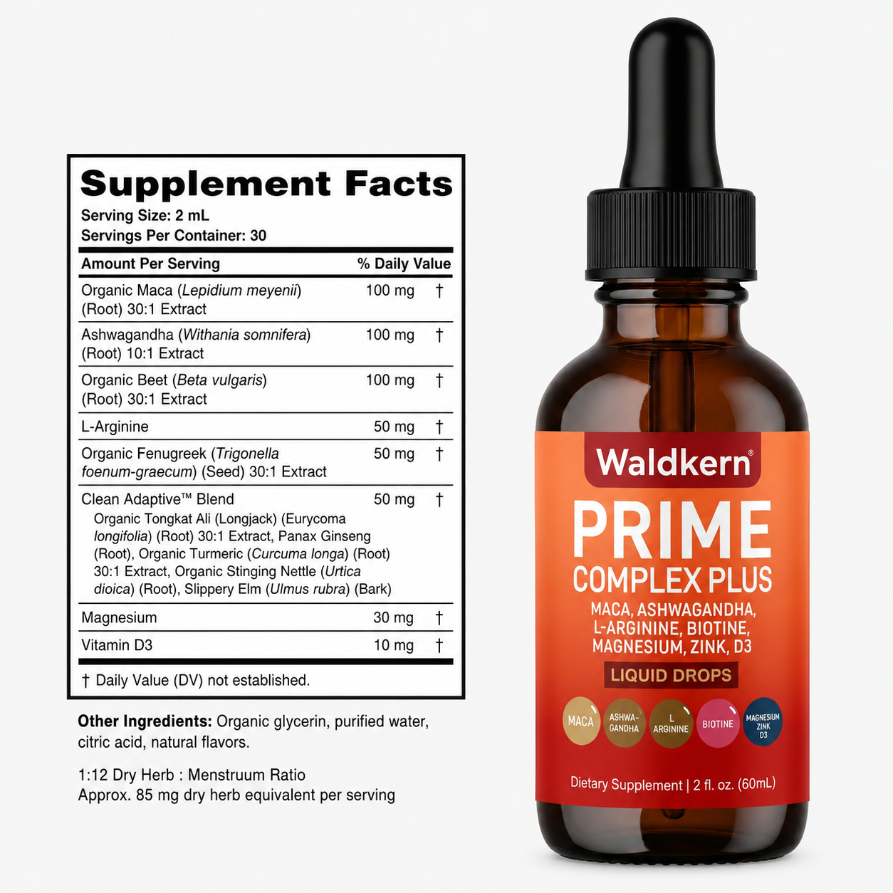 Prime Complex Plus